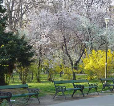 Cișmigiu Park